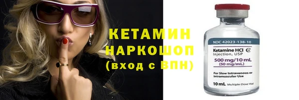 стафф Вязьма