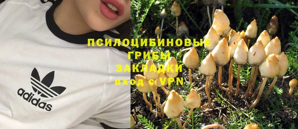 марки lsd Горняк