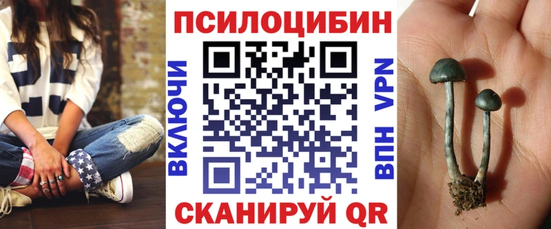 Псилоцибиновые грибы прущие грибы  наркотики  Заводоуковск 