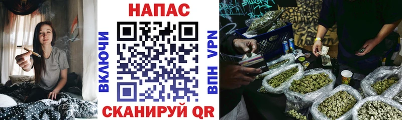 darknet официальный сайт  закладки  Заводоуковск  Бошки марихуана сатива 